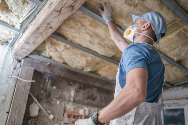 Best Energy Efficiency Solutions in Red Bud, IL