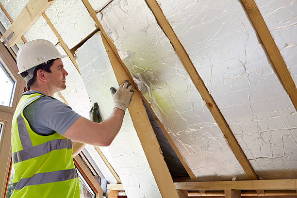 Best Insulation Maintenance and Repair in Red Bud, IL